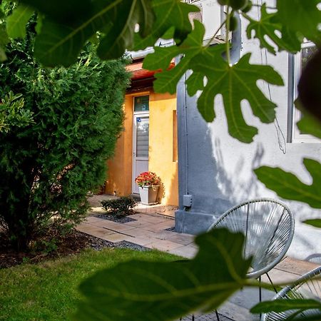 Dulcineea Downtown Garden Studio Тимишоара Экстерьер фото