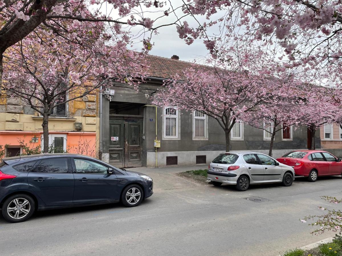 Dulcineea Downtown Garden Studio Тимишоара Экстерьер фото