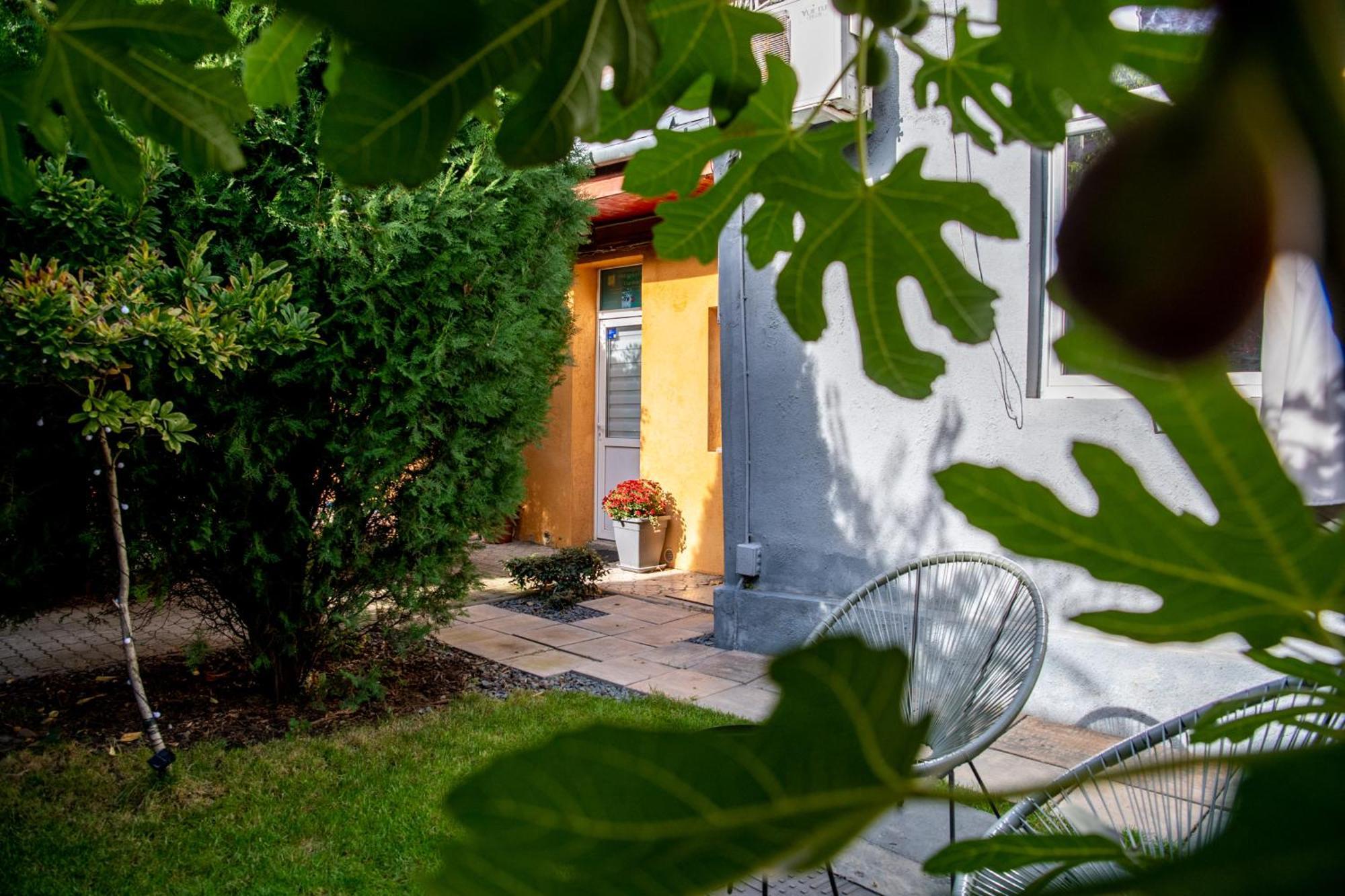Dulcineea Downtown Garden Studio Тимишоара Экстерьер фото