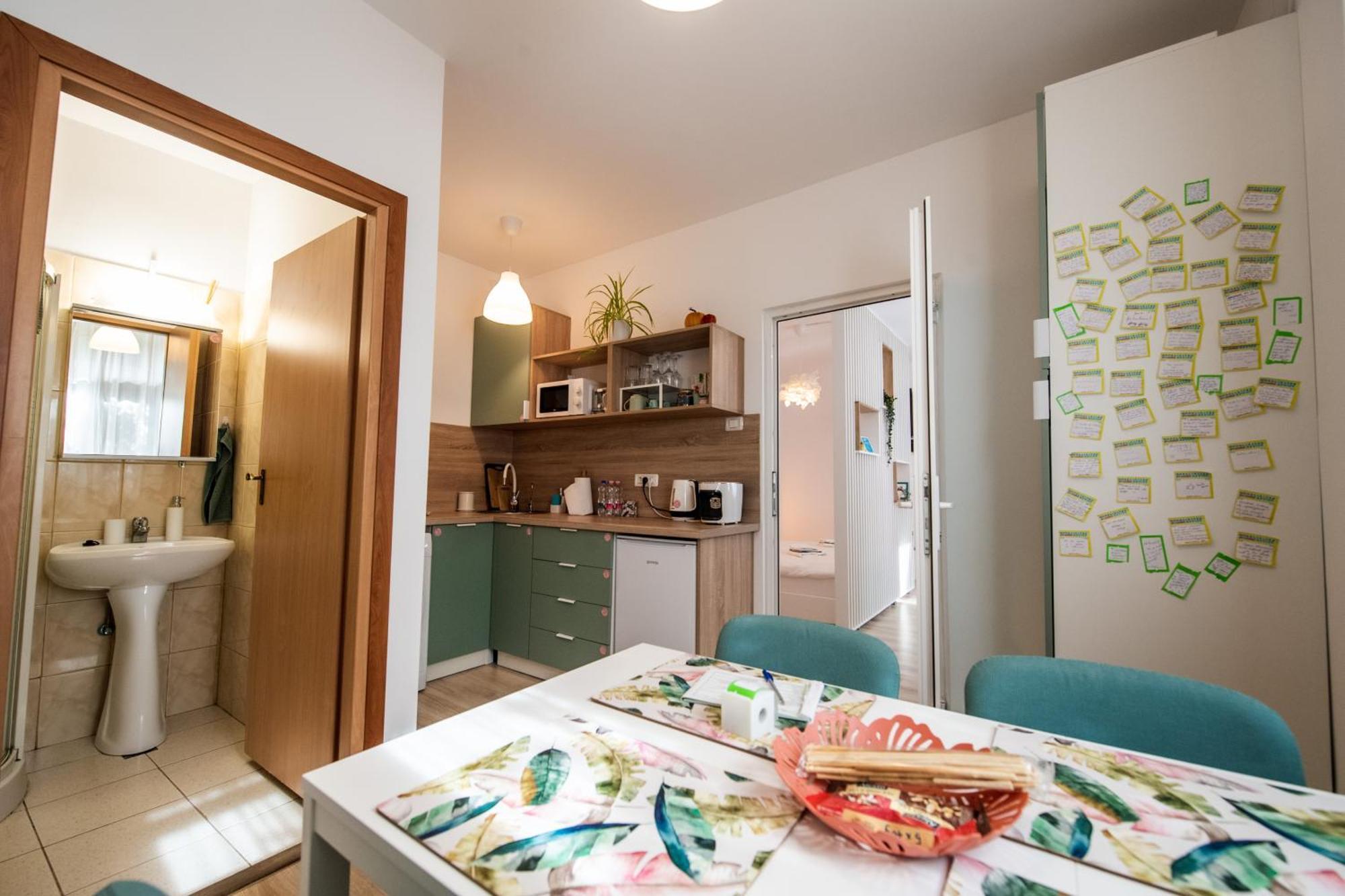 Dulcineea Downtown Garden Studio Тимишоара Экстерьер фото